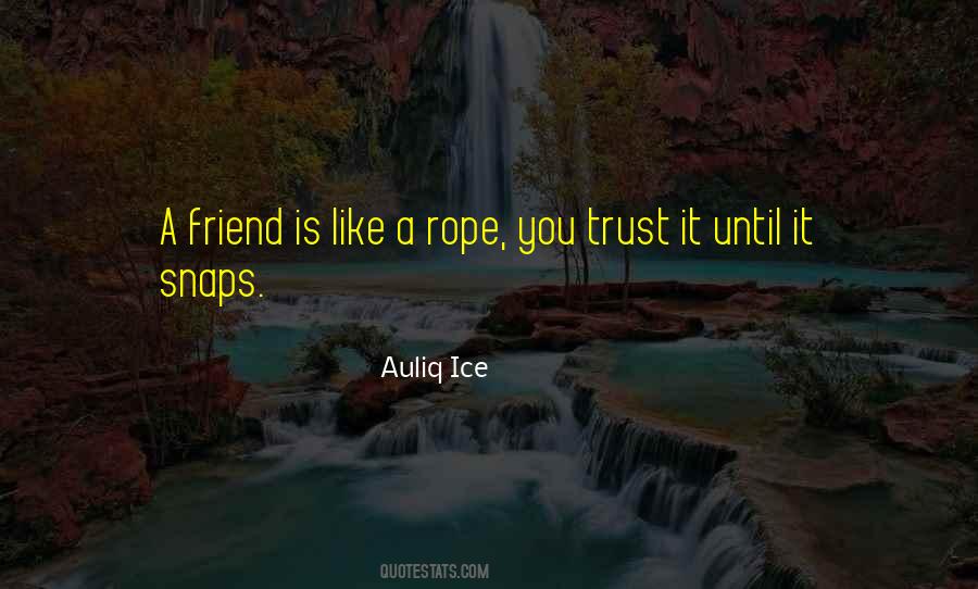 Friend Trust Quotes #1421556