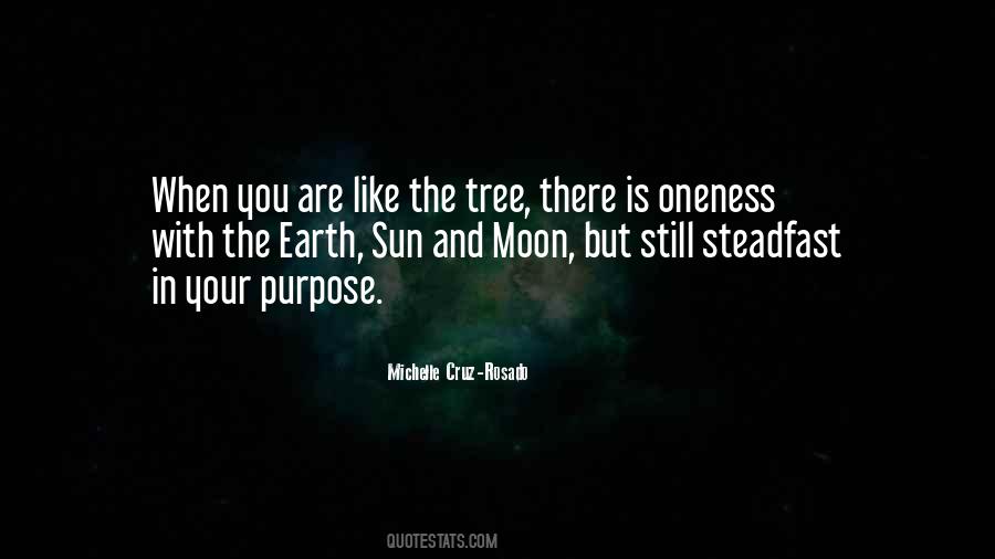 Quotes About The Moon And Earth #1079490