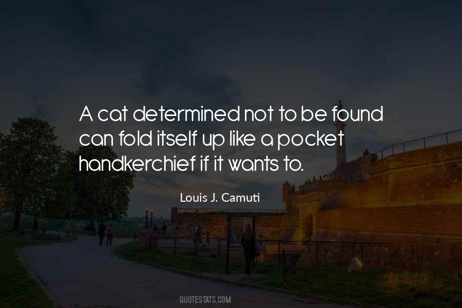 Be Like A Cat Quotes #1589172