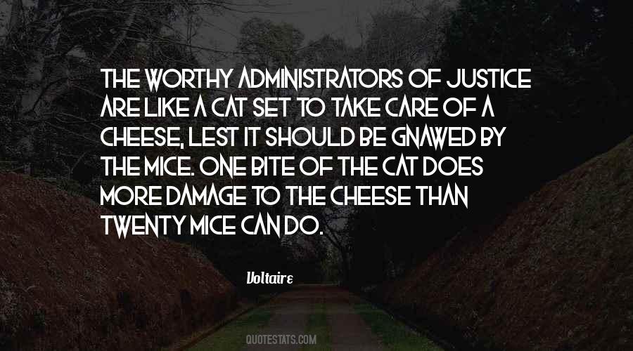 Be Like A Cat Quotes #1670062