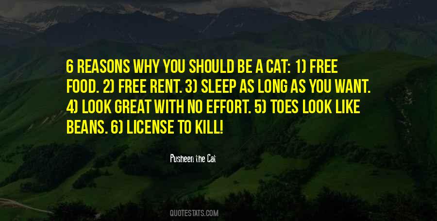 Be Like A Cat Quotes #588043