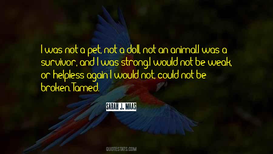 Animal Pet Quotes #408012