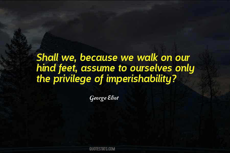 Animal Pet Quotes #862426