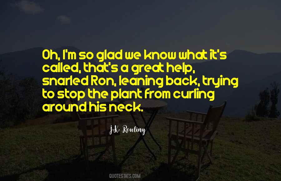 I Will Not Stop Trying Quotes #354682