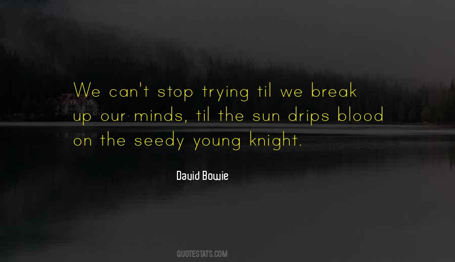 I Will Not Stop Trying Quotes #78098