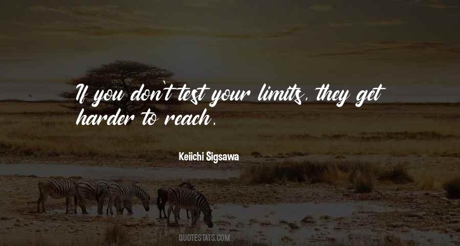 Don't Test My Limits Quotes #738870