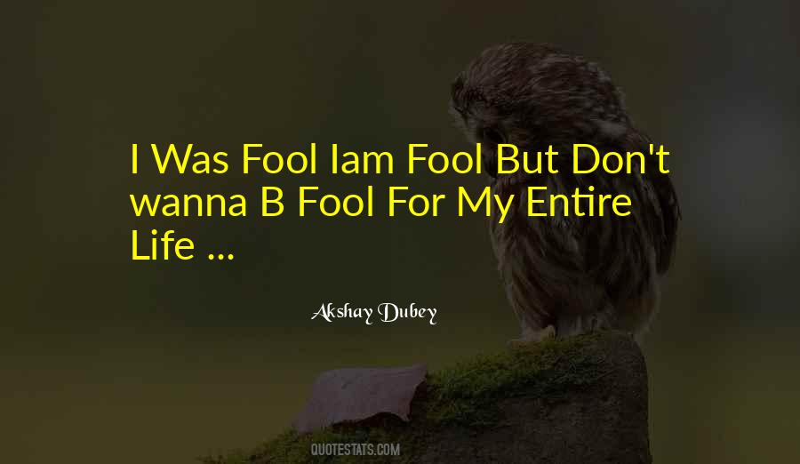 Don't Think I'm A Fool Quotes #247511