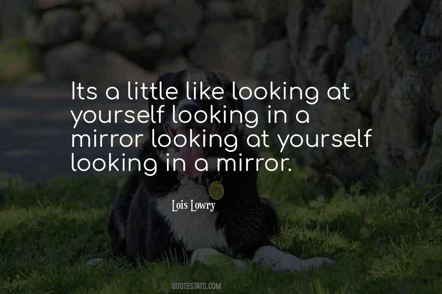 Quotes About Looking At Yourself In A Mirror #9866