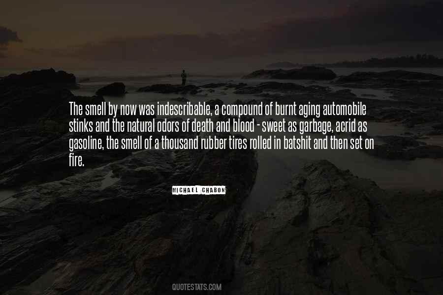 Fire Blood Quotes #172133