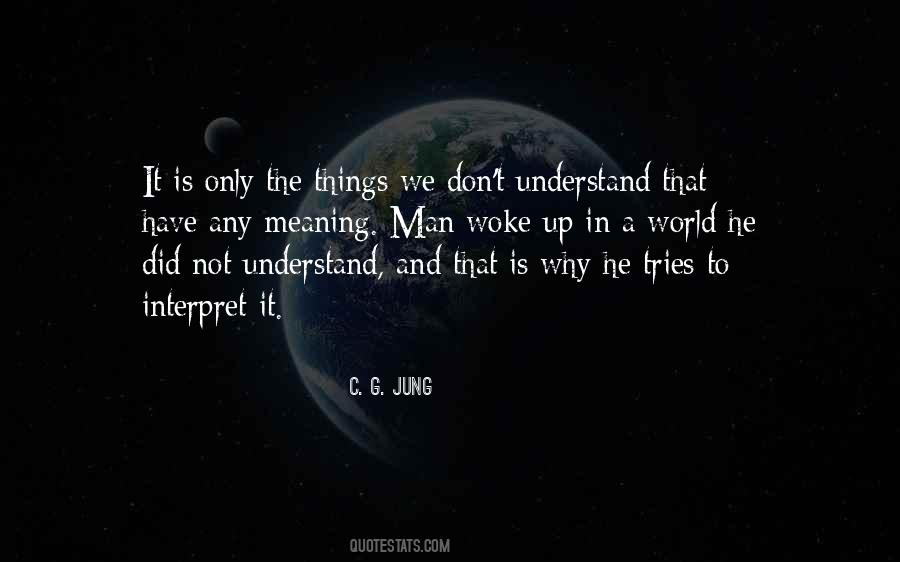 Don't Understand The World Quotes #651948