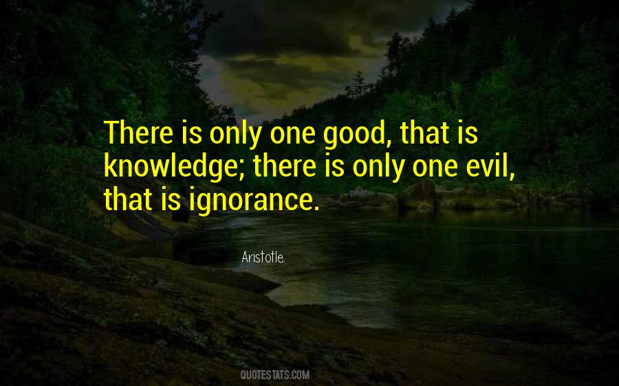 Good Ignorance Quotes #617669