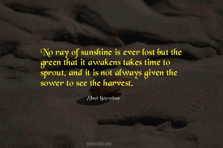 A Ray Of Sunshine Quotes #388407