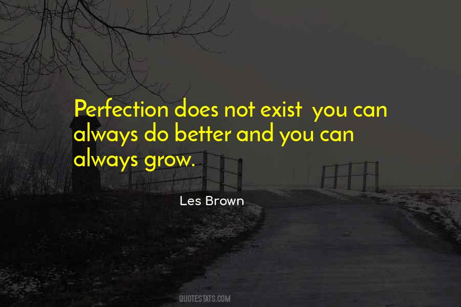 Not Perfection Quotes #1001595