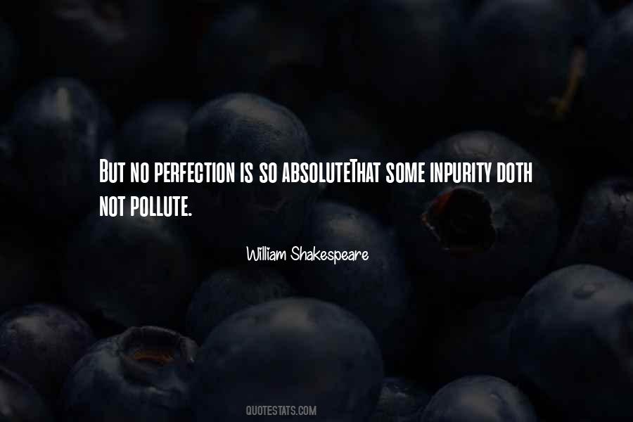 Not Perfection Quotes #199012