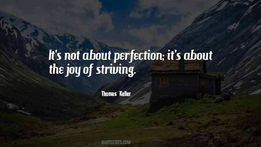 Not Perfection Quotes #838308