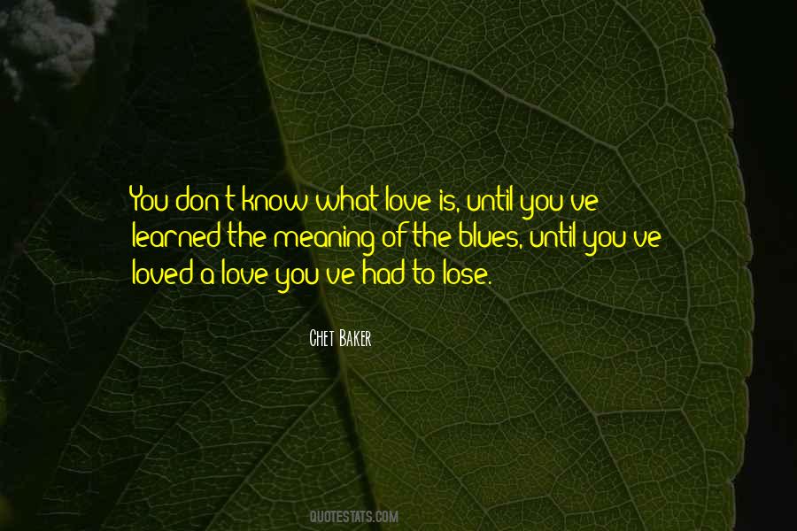 Don't Want To Lose You Love Quotes #1147096
