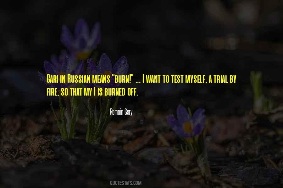 Burned By Fire Quotes #1158444