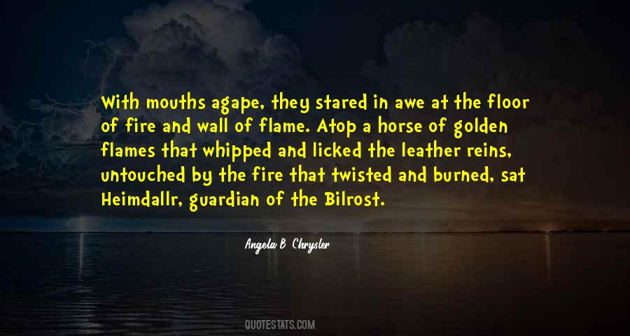 Burned By Fire Quotes #1209752