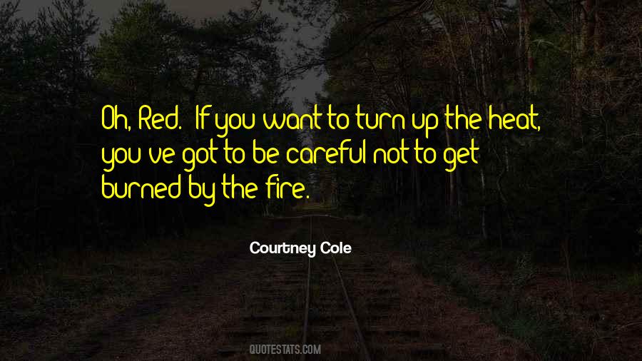 Burned By Fire Quotes #534906