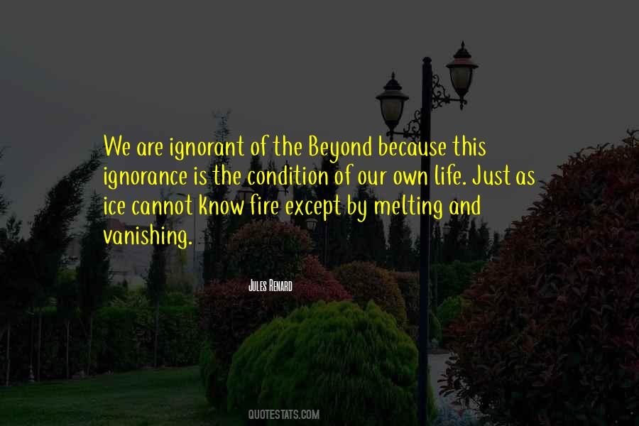 Ignorance Life Quotes #1695351