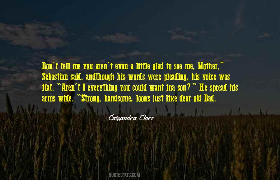 Don't Want To See You Quotes #376378