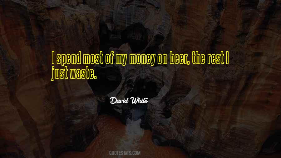 Don't Waste Money Quotes #1185461