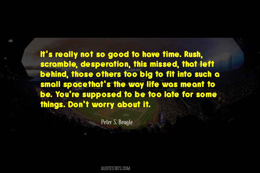 Don't Worry About Life Quotes #63019