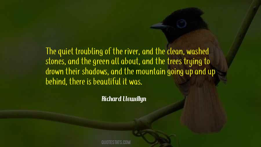 Mountain And River Quotes #1407754