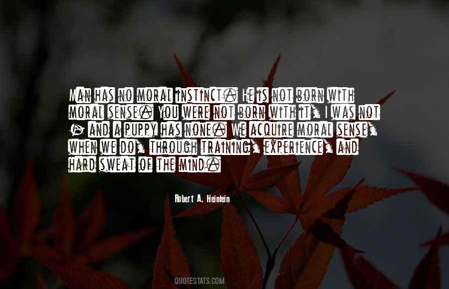 Training Experience Quotes #526875