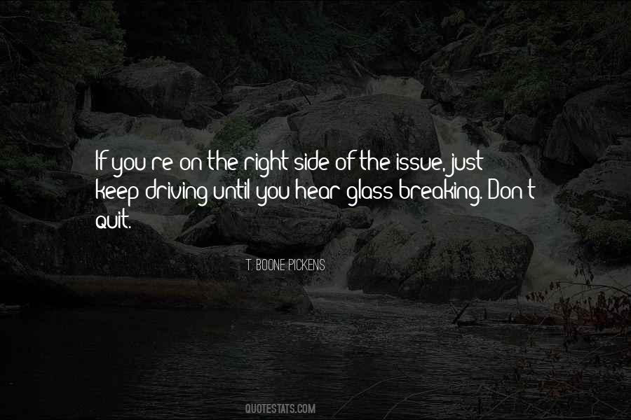 Don't You Quit Quotes #434379