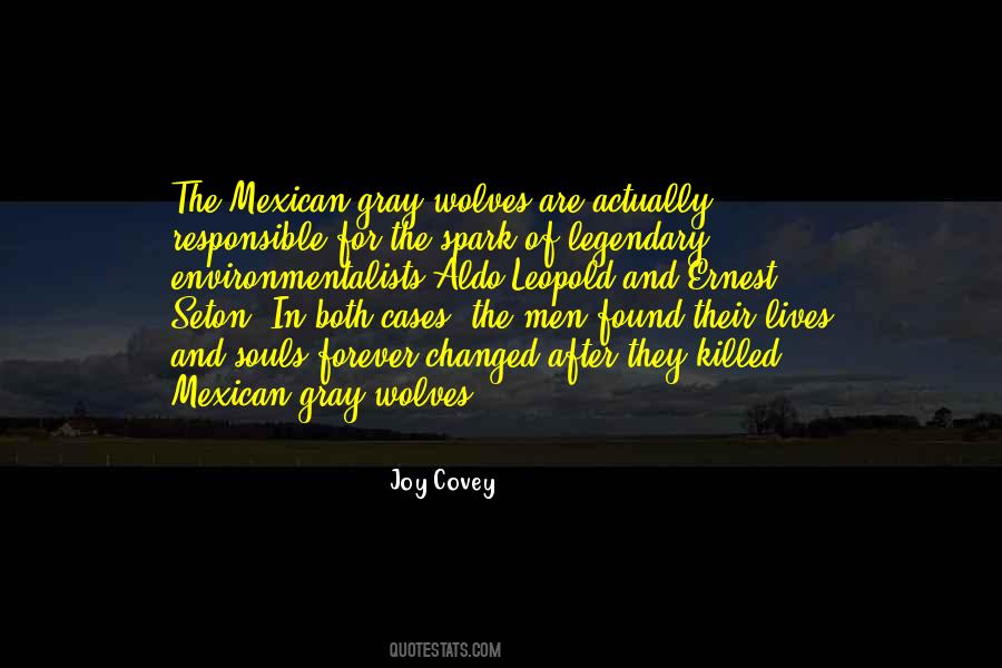 The Mexican Quotes #531644