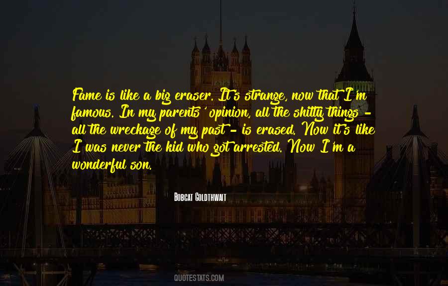Wonderful Son Quotes #14377