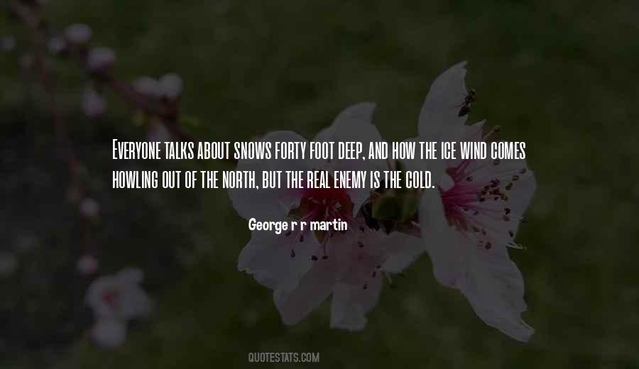 Quotes About The Cold Wind #986458