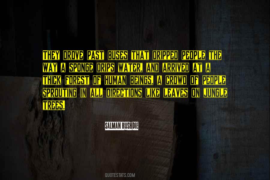 Forest Water Quotes #984238