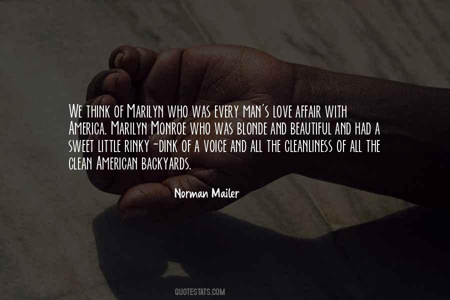 Beautiful America Quotes #1331763