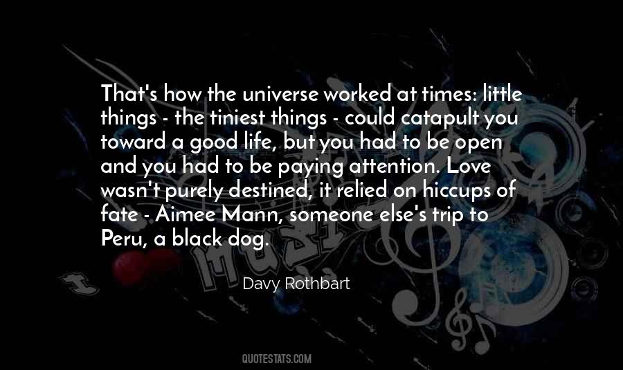 Paying Attention Love Quotes #1480764