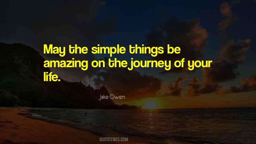 Simple Amazing Quotes #1757313