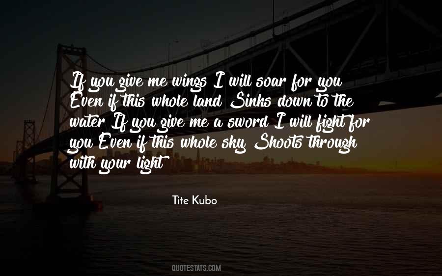 I Am Going To Soar Quotes #324673