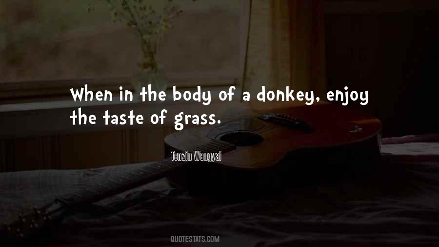 Donkey Quotes #1224308