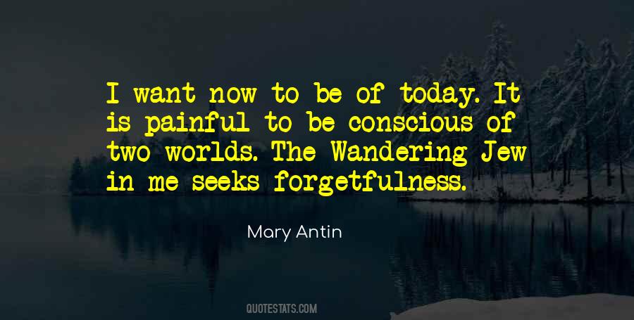 Wandering The World Quotes #1110996
