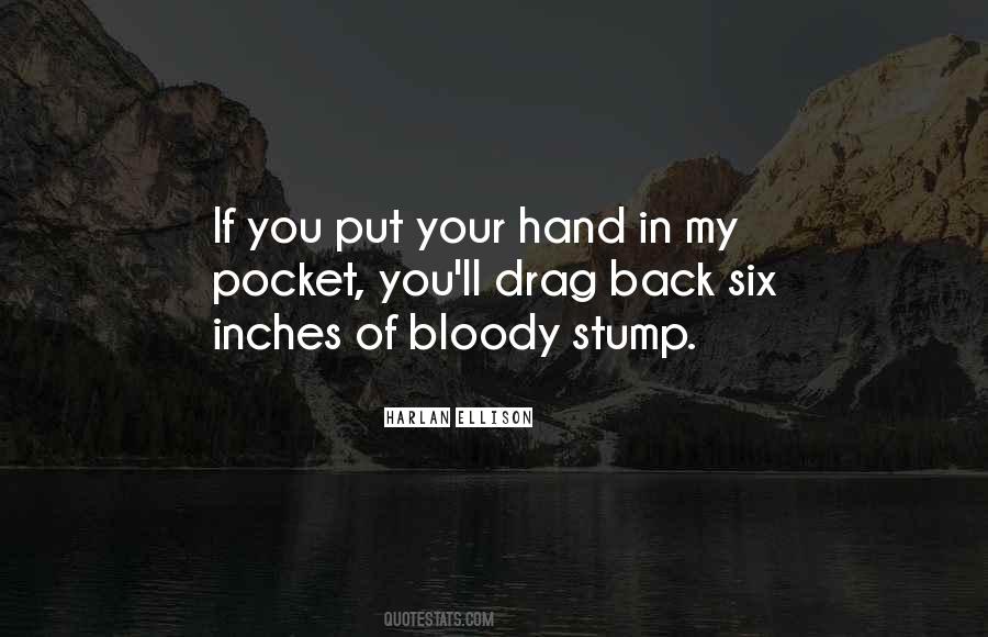 Hand In Pocket Quotes #732759