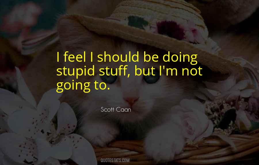 Yes I Am Stupid Quotes #43720