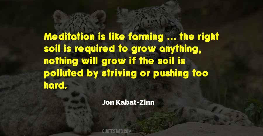 Nothing Is Too Hard Quotes #1209205