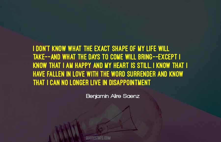 No Happy Life Quotes #1142075