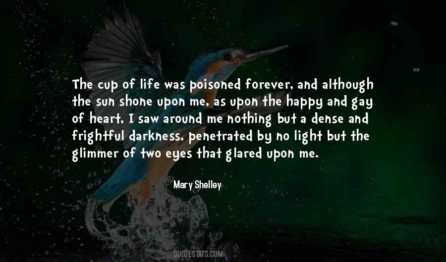 No Happy Life Quotes #1166124