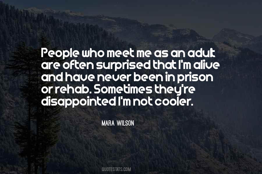 Disappointed Me Quotes #616935