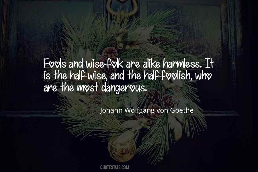 Foolish And Wise Quotes #318545
