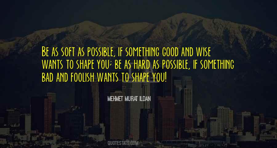 Foolish And Wise Quotes #647342