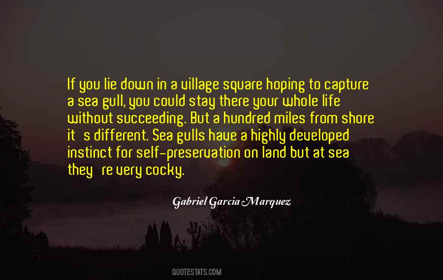 If You Have To Lie Quotes #1162670