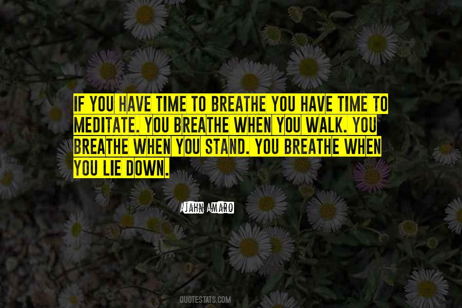 If You Have To Lie Quotes #157488